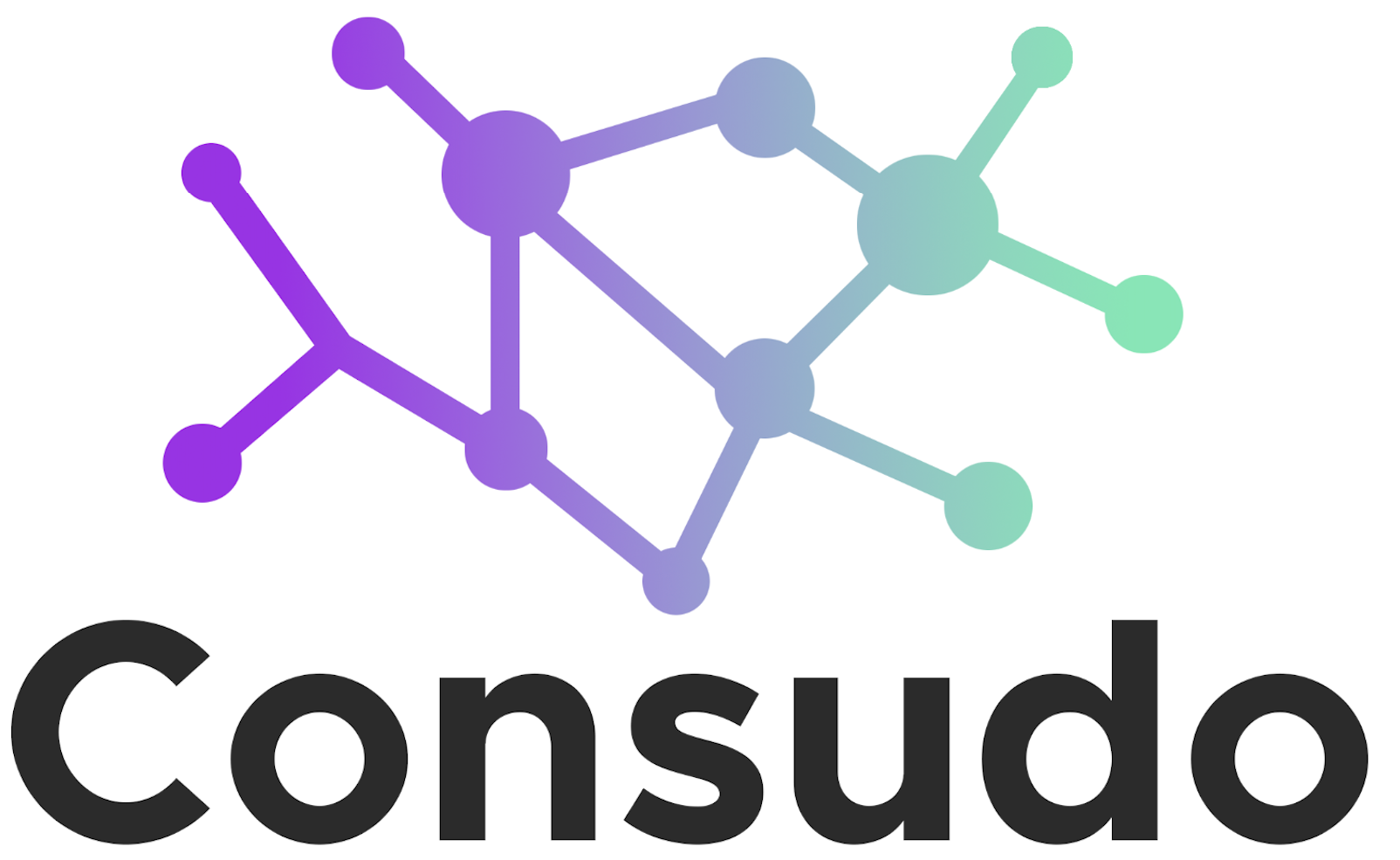 Consudo Consultant Firm Logo